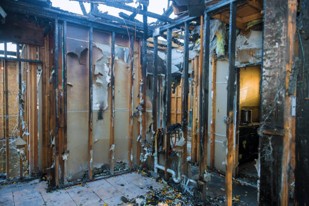 Professional Fire Damage Removal technician working in Darby, PA